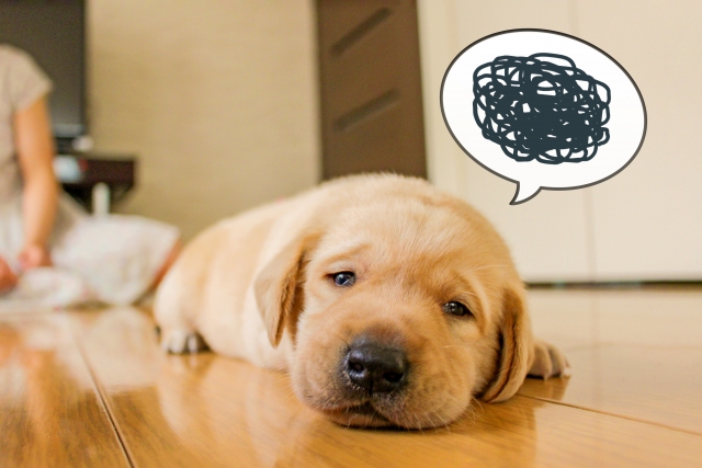 知りたい？交際終了された理由「藤沢の結婚相談所エターナル湘南」30代40代大人の婚活