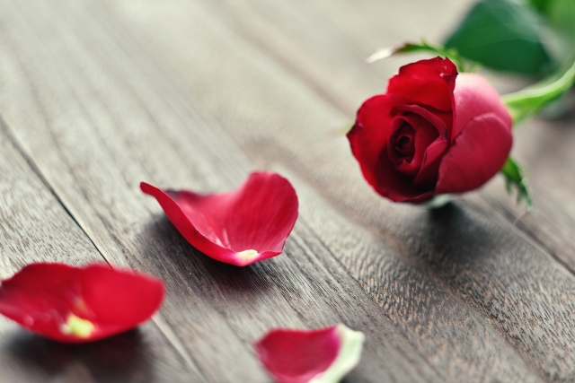 「結婚相手は妥協しなくちゃいけないの?」藤沢の結婚相談所エターナル湘南 30代40代大人婚